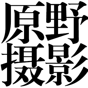 廣德桃州鎮原野攝影工作室