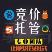 sem托管公司有哪些