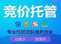 公司競(jìng)價(jià)推廣托管公司